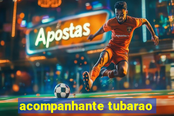 acompanhante tubarao